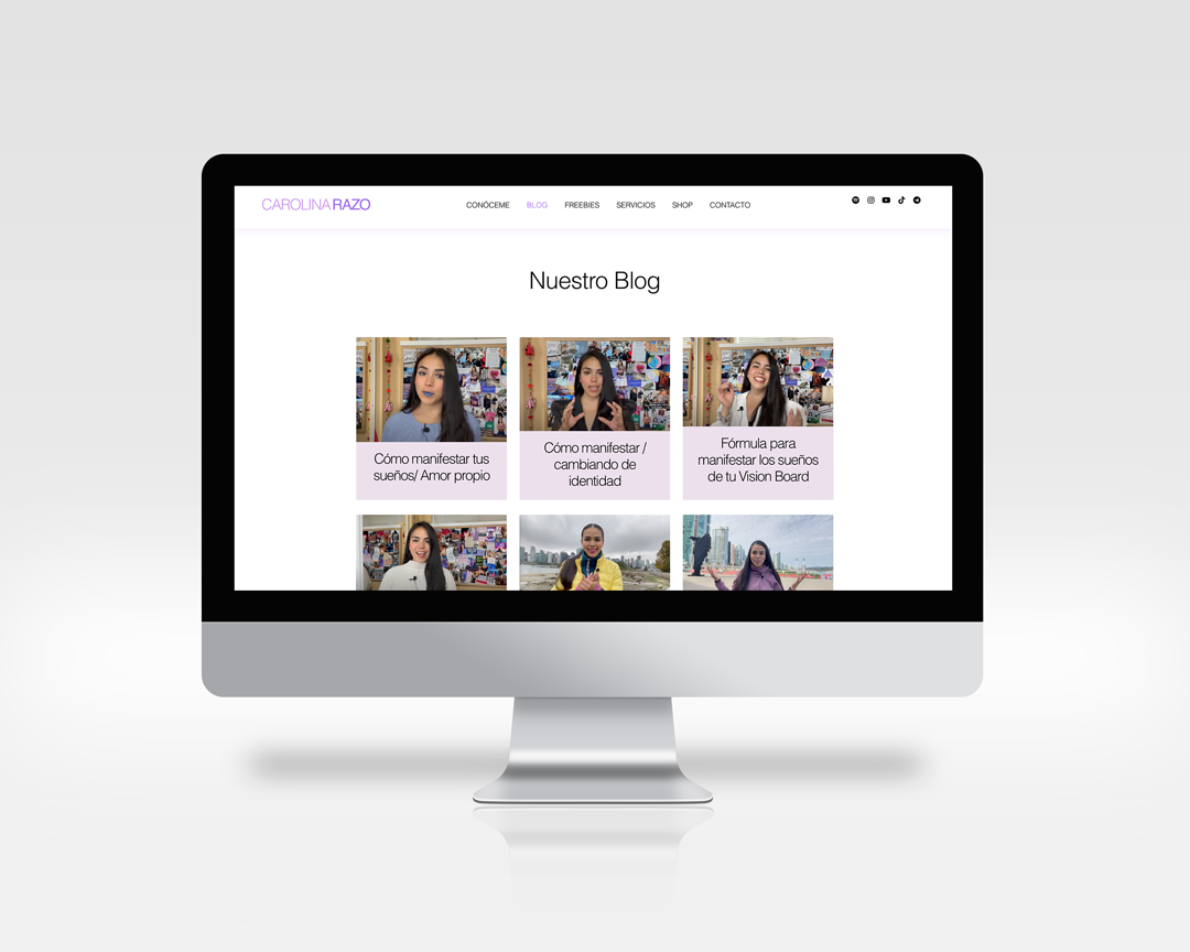 The blog.